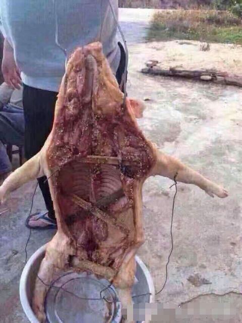 德爷野外生存烧烤,德爷野外挨饿求生视频合集