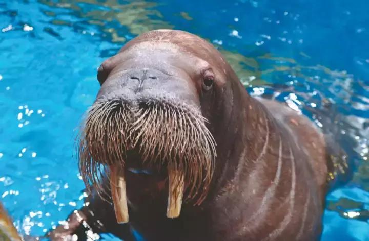 武汉地铁2号线游玩攻略沿线商圈,武汉地铁四号线哪里值得去玩