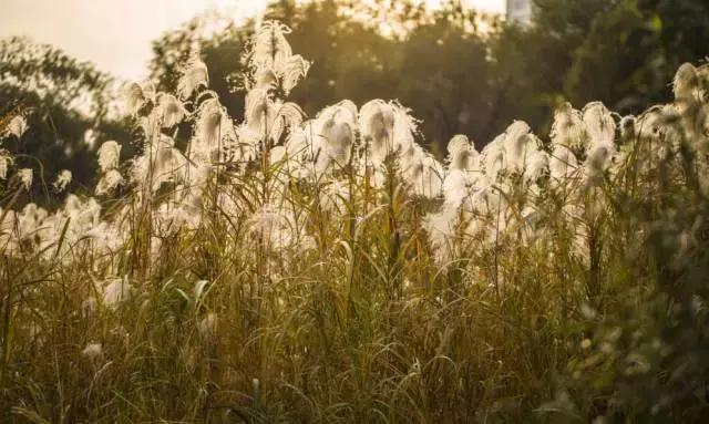 武汉地铁2号线游玩攻略沿线商圈,武汉地铁四号线哪里值得去玩