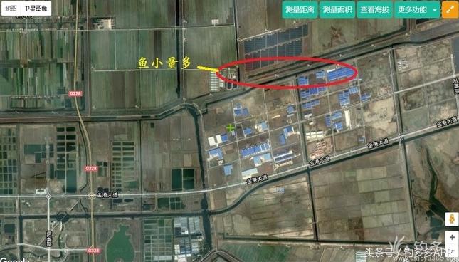 一年四季都可以钓的鱼种,一年四季可钓的鱼种