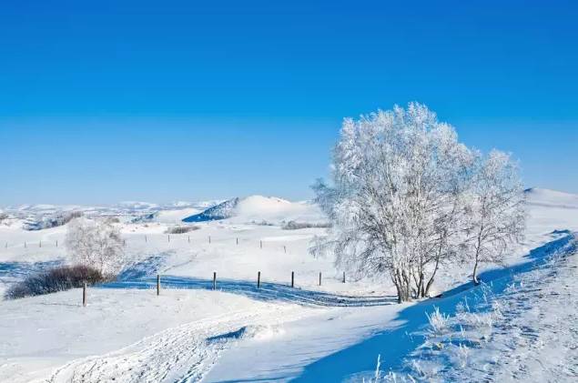 冬天值得去的旅游景点自驾游,冬季值得去旅游的十大地方