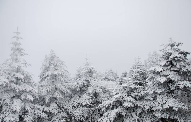 冬天值得去的旅游景点自驾游,冬季值得去旅游的十大地方