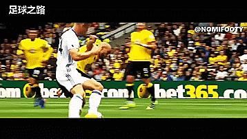 兽腰坎特的武功秘籍