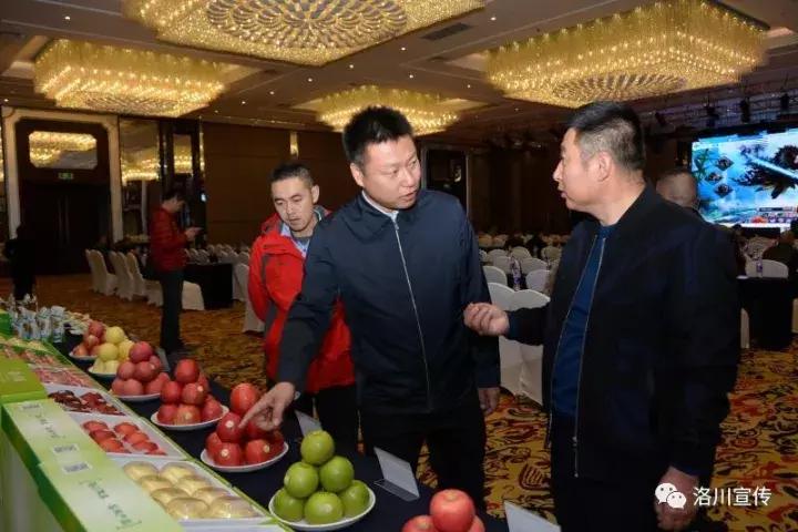洛川苹果惊艳蓉城品牌知名度再升级