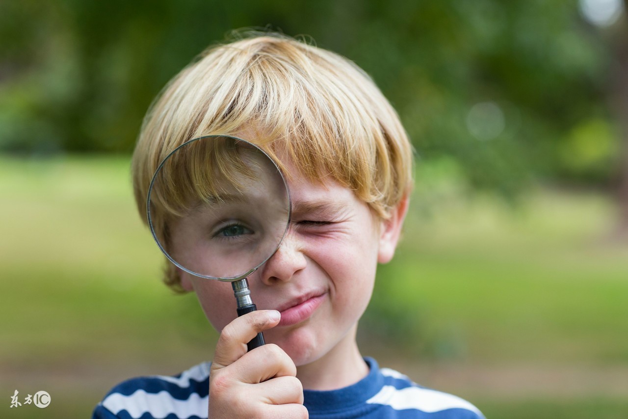 管中窥豹告诉我们什么道理,管中窥豹可见一斑哲理