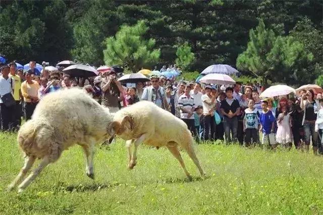中国云南河口口岸,云南河口通商口岸开放