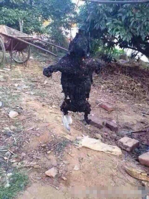 德爷野外生存烧烤,德爷野外挨饿求生视频合集