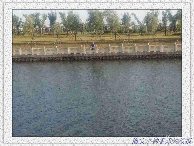 一年四季都可以钓的鱼种,一年四季可钓的鱼种