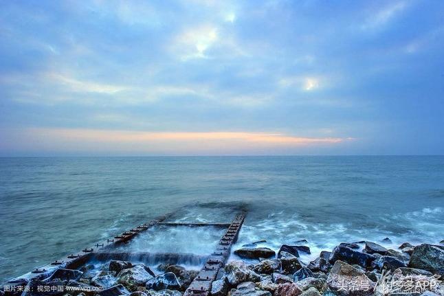 一年四季都可以钓的鱼种,一年四季可钓的鱼种