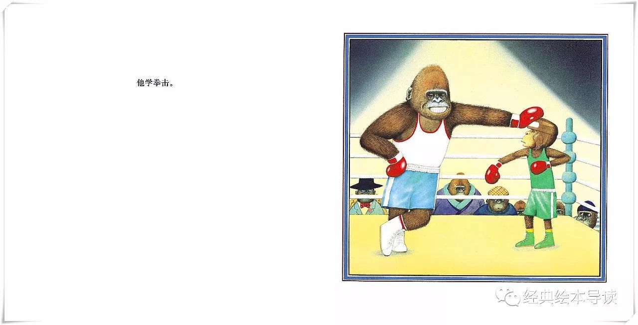 强壮才是找回自信的捷径—《胆小鬼威利》导读