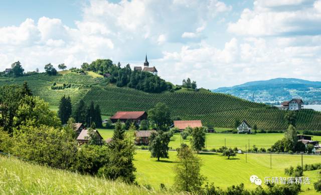 葡萄酒行业深度报告:探底逐步完成,静待行业重回增长