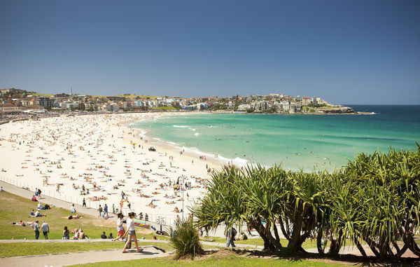 悉尼bondi海滩海景房,悉尼bondi海滩雕塑系展