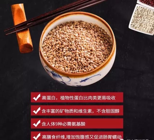 生活必备营养素,生活必备食物