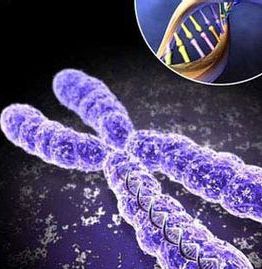 小孩大腿起水泡,孩子大腿起水泡