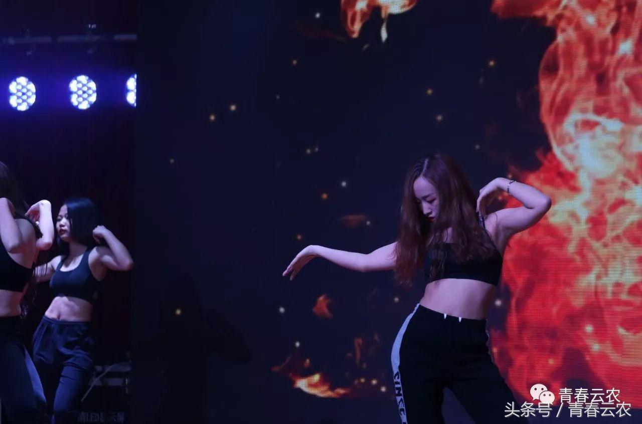 社团嘉年华会场,社团嘉年华图片大全