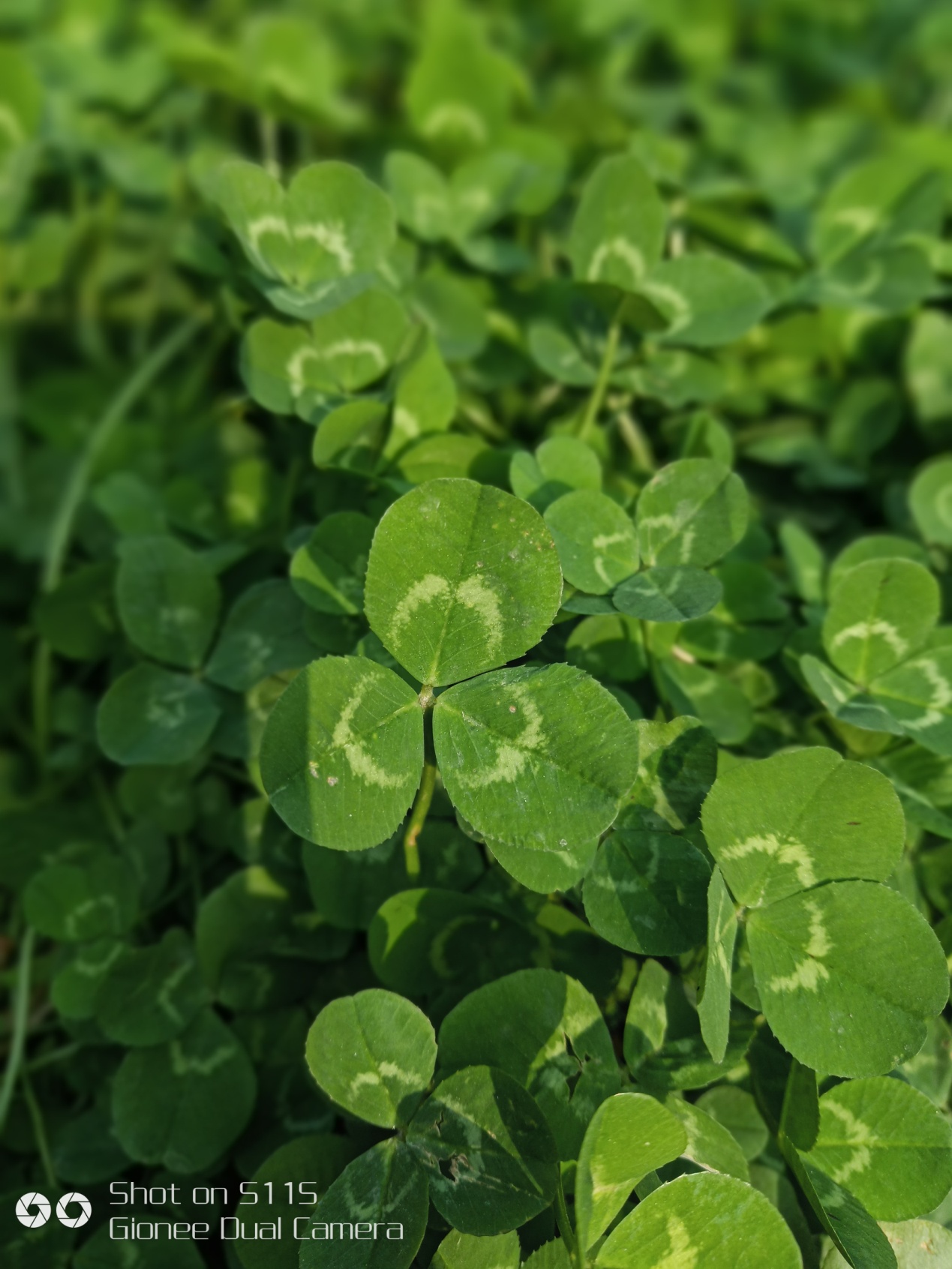 金立s11s深度体验,金立s11s详细介绍