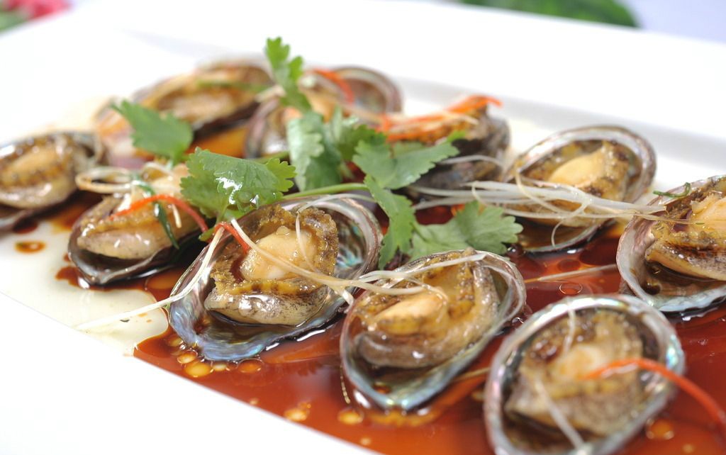 假鲍鱼真海鲜这么多年都误会了