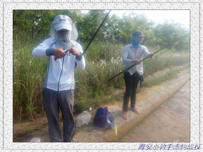 一年四季都可以钓的鱼种,一年四季可钓的鱼种