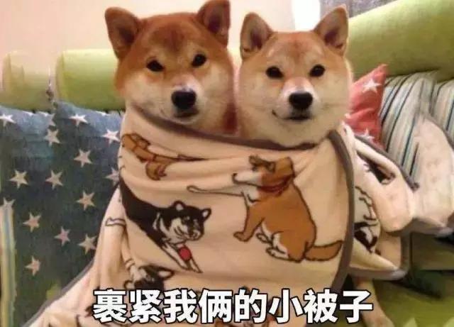 谢谢你们这么温暖，让我差点忘记了找男朋友！