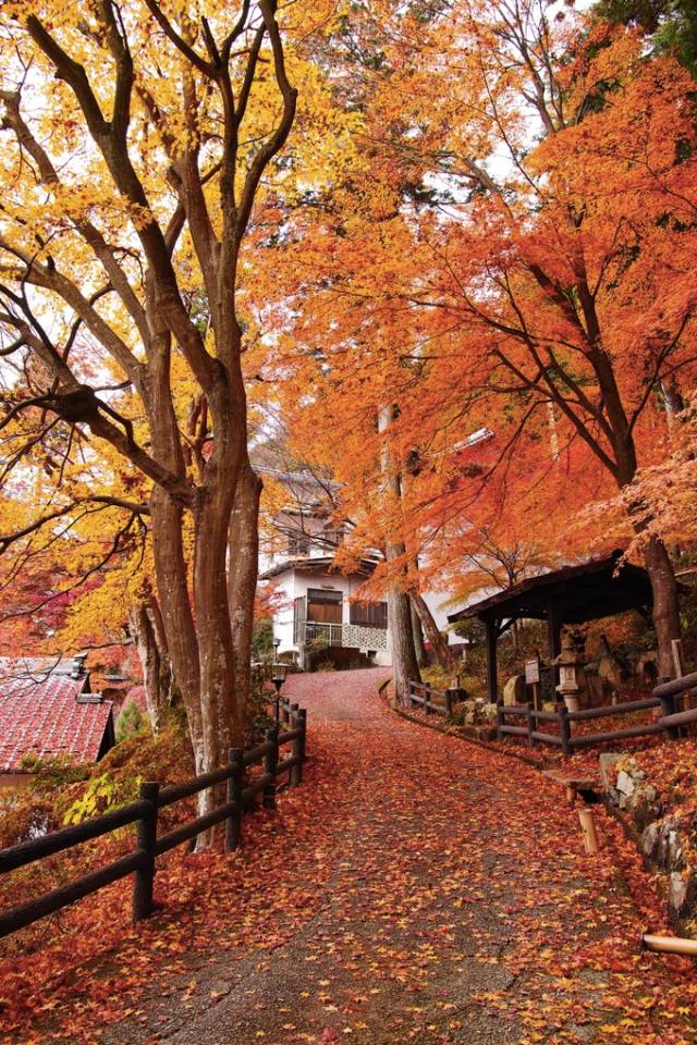 5000元玩转日本岐阜县三城（三）下吕有温泉