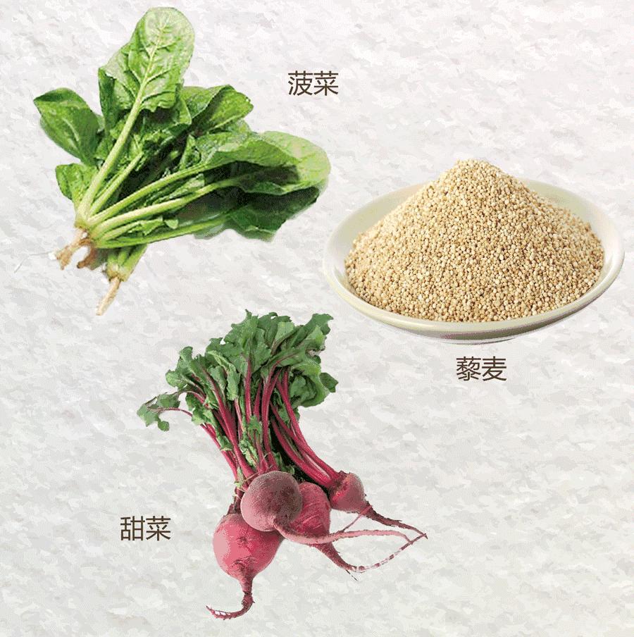 生活必备营养素,生活必备食物