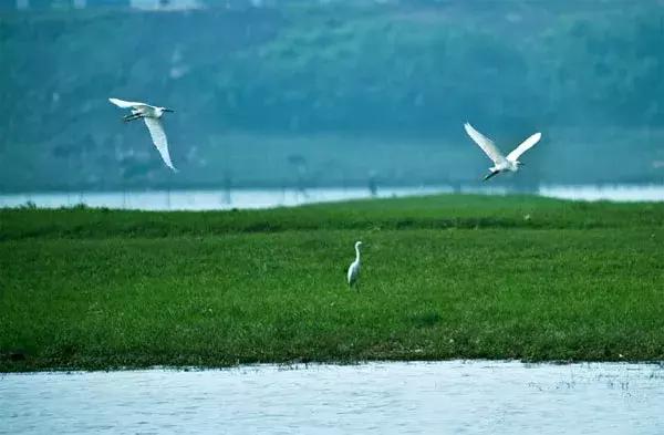 岳阳，你不是最好，但你属于我