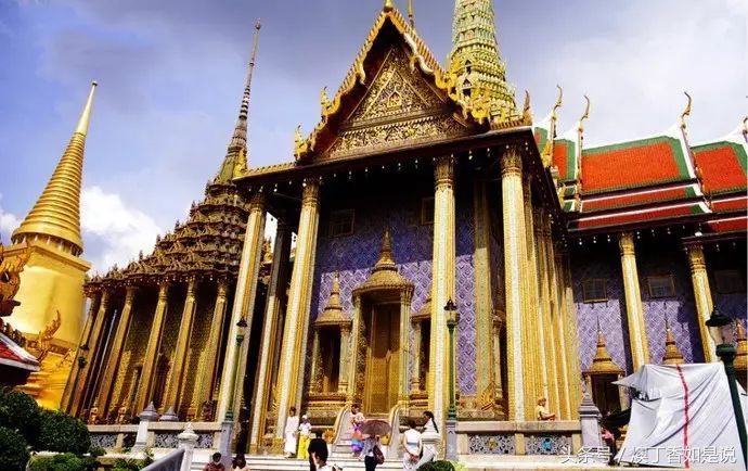 生存挑战热带雨林,生存挑战亚马逊丛林