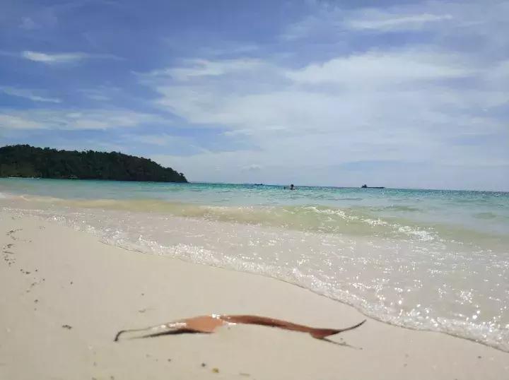 大叔评论照片,大叔自拍评价长相