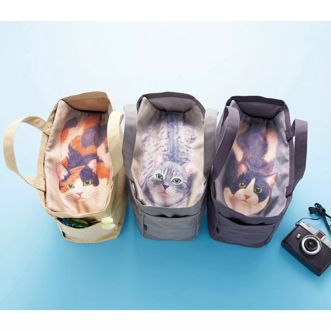 鐚挭缇庡鍒嗕韩,鐚挭涓撶敤缇庡