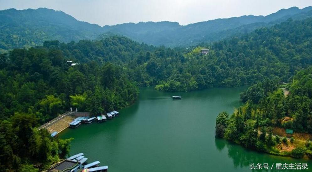 重庆璧山风景区,璧山森林公园风景区介绍