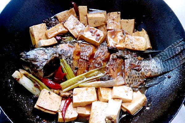 怎么炖鱼不腻还好吃又简单,家常炖鱼不腥好吃又简单