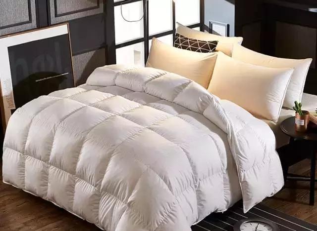 谢谢你们这么温暖，让我差点忘记了找男朋友！