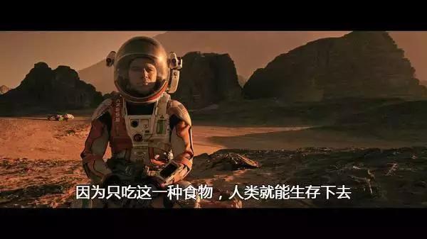 生活必备营养素,生活必备食物