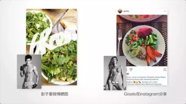 生活必备营养素,生活必备食物