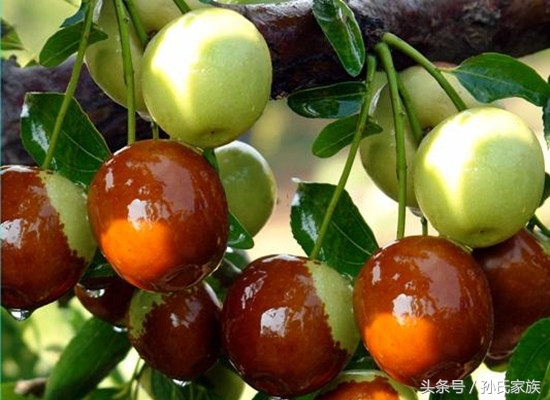 什么是枣夹核桃,水果知识大全相片