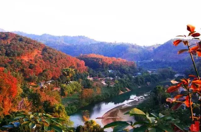 中国云南河口口岸,云南河口通商口岸开放