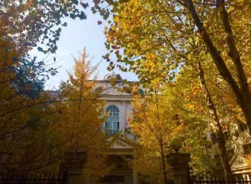 武汉地铁2号线游玩攻略沿线商圈,武汉地铁四号线哪里值得去玩