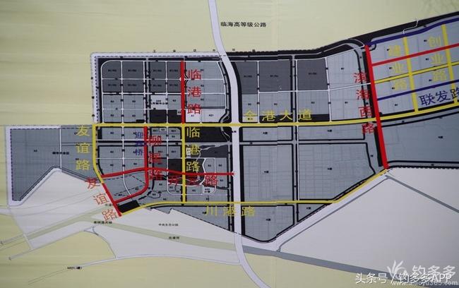 一年四季都可以钓的鱼种,一年四季可钓的鱼种