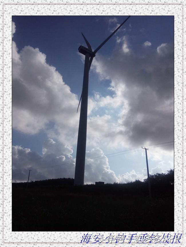 一年四季都可以钓的鱼种,一年四季可钓的鱼种