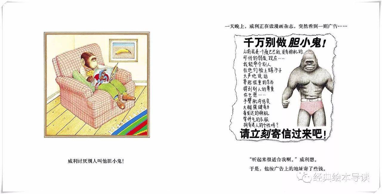 强壮才是找回自信的捷径—《胆小鬼威利》导读