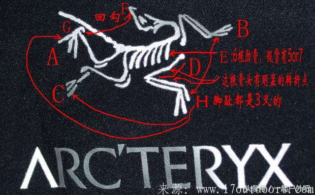 冲锋衣哪种牌子最好,冲锋衣的面料哪种最好