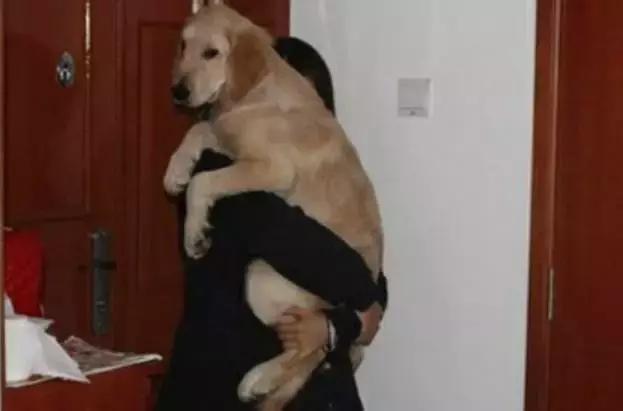 谢谢你们这么温暖，让我差点忘记了找男朋友！