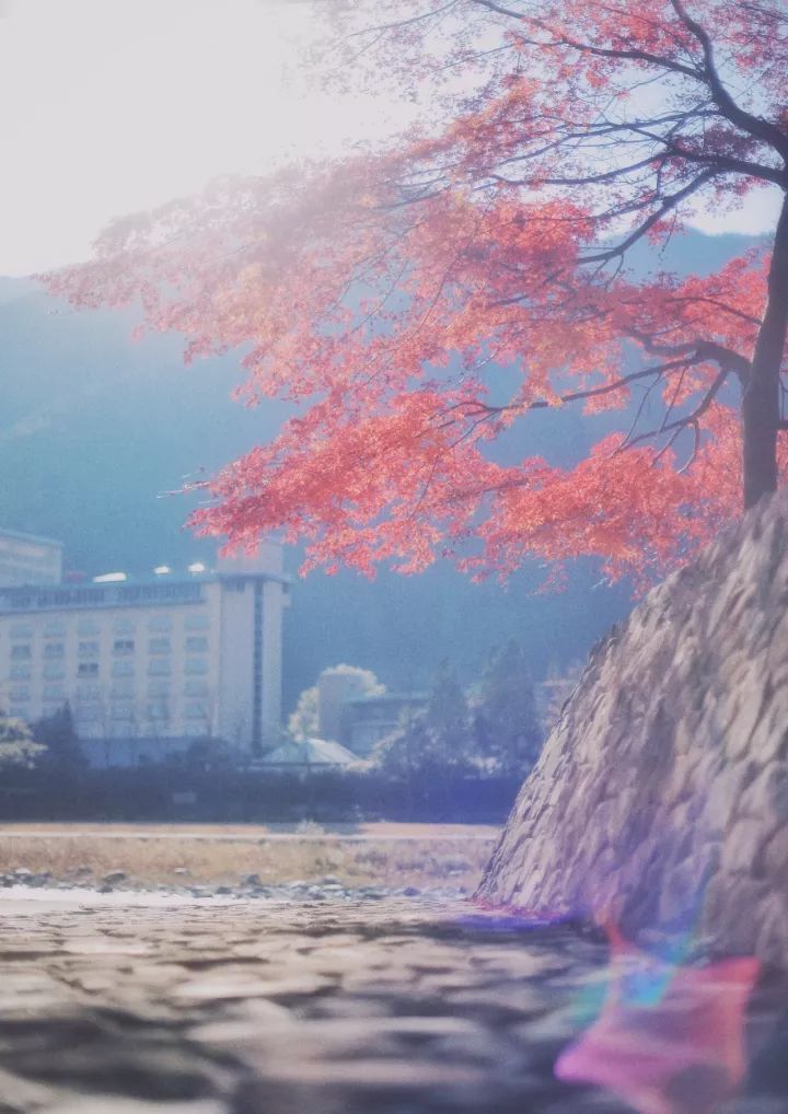 5000元玩转日本岐阜县三城（三）下吕有温泉