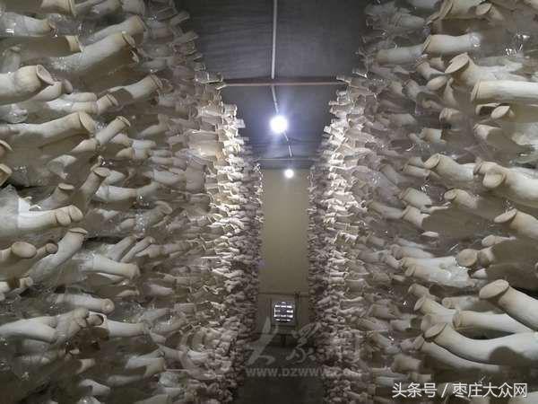 枣庄市中区建材纺织印刷行业与时俱进谋发展