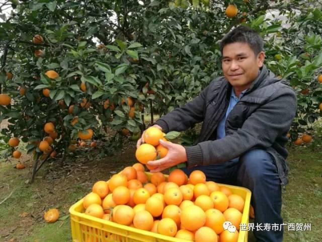 脱贫大变化美丽乡村展新颜,脱贫乡村翻天覆地的变化