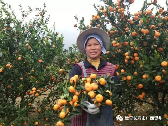 脱贫大变化美丽乡村展新颜,脱贫乡村翻天覆地的变化