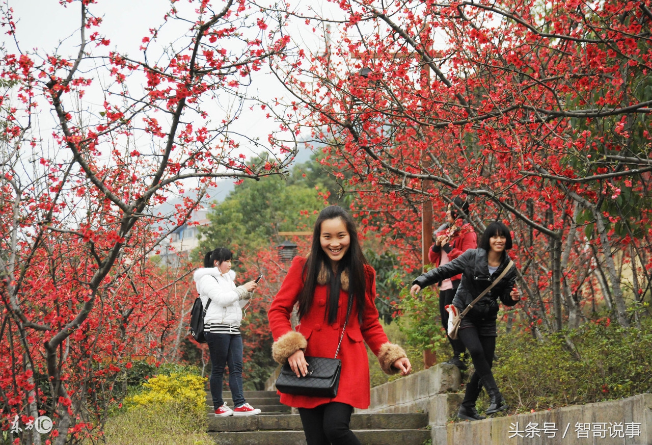 常州经济实力在江苏排名,江苏常州的经济发展怎么样