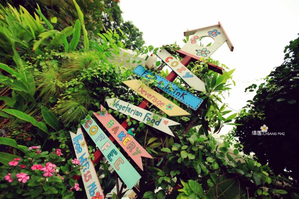 泰国清迈拜县自由行攻略,泰国包车去清迈到拜县