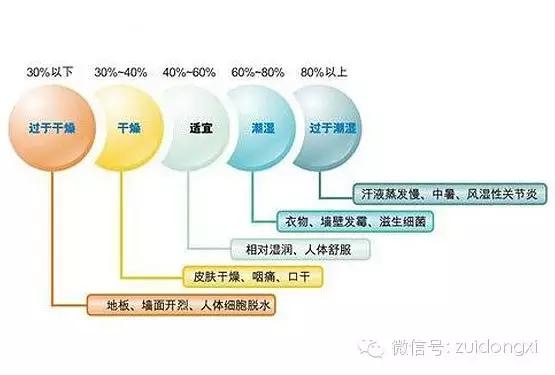 最好用的湿喷机,最强除湿机