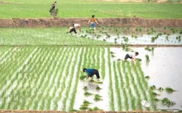 有人问我自己是个什么样的人,好多人问我是什么样的人